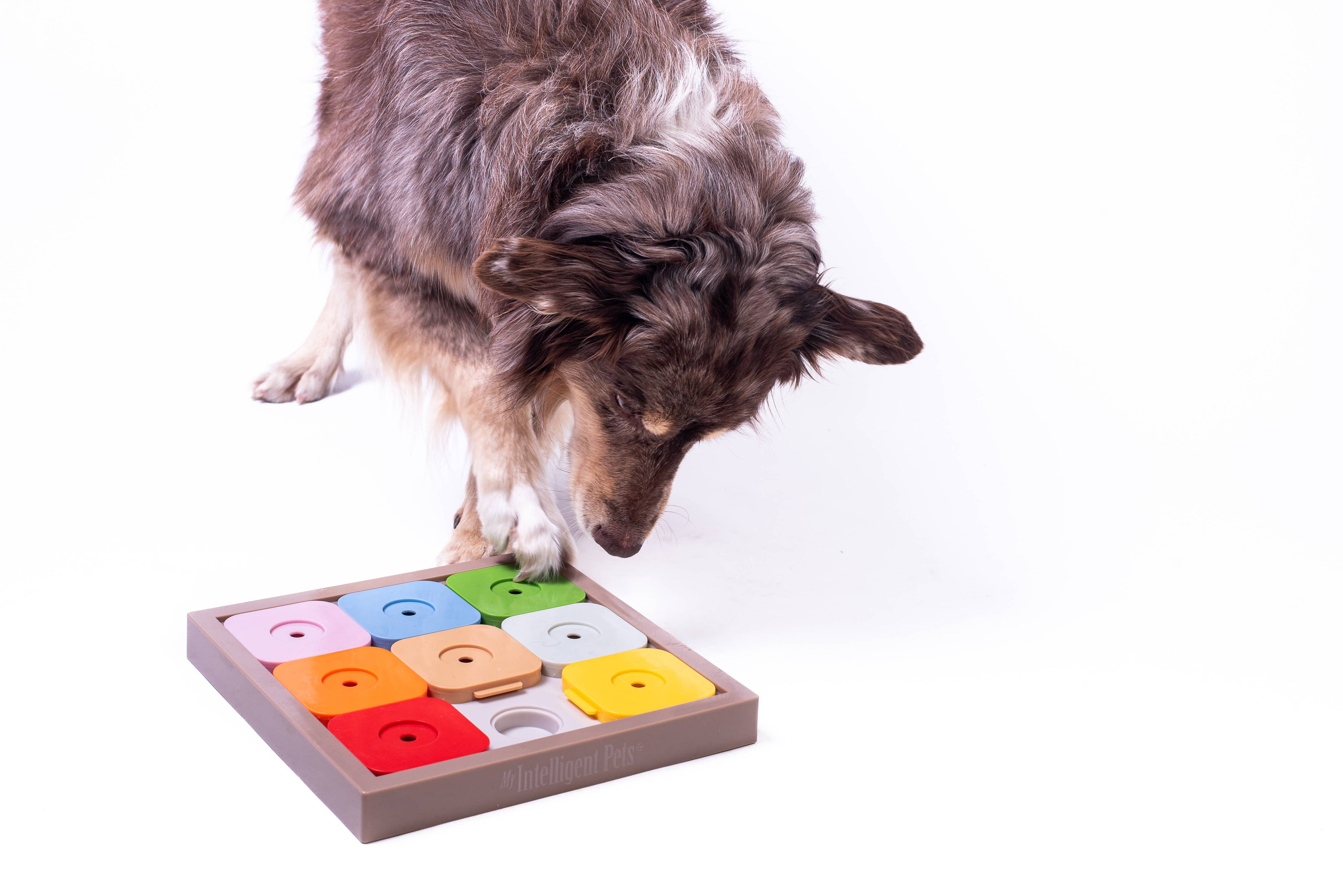 SUDOKU Medium Expert Kleur (Volledig Kunststof Constructie)