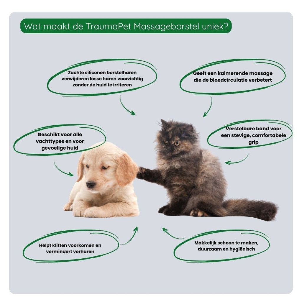 Massageborstel