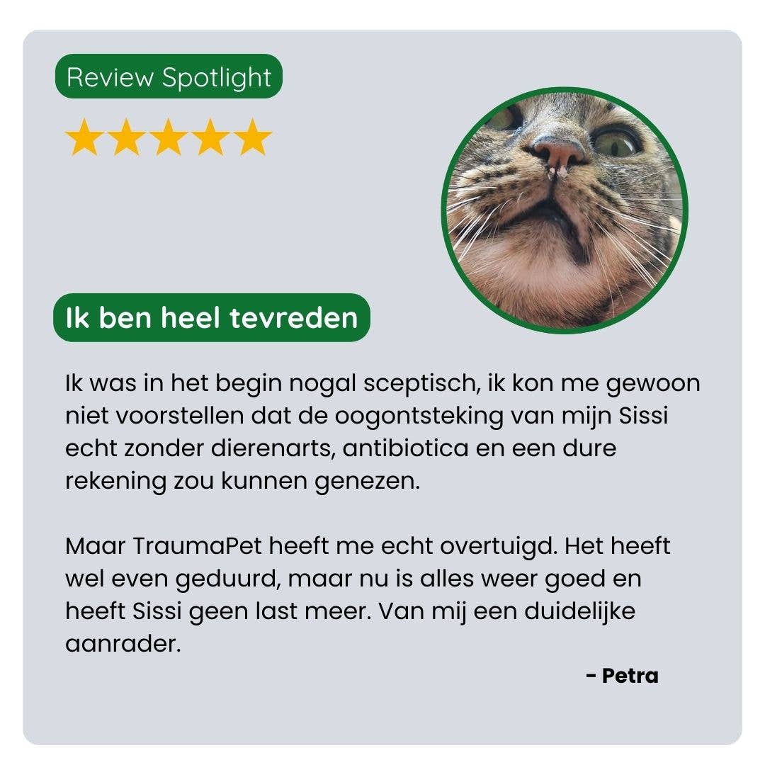 Oogdruppels