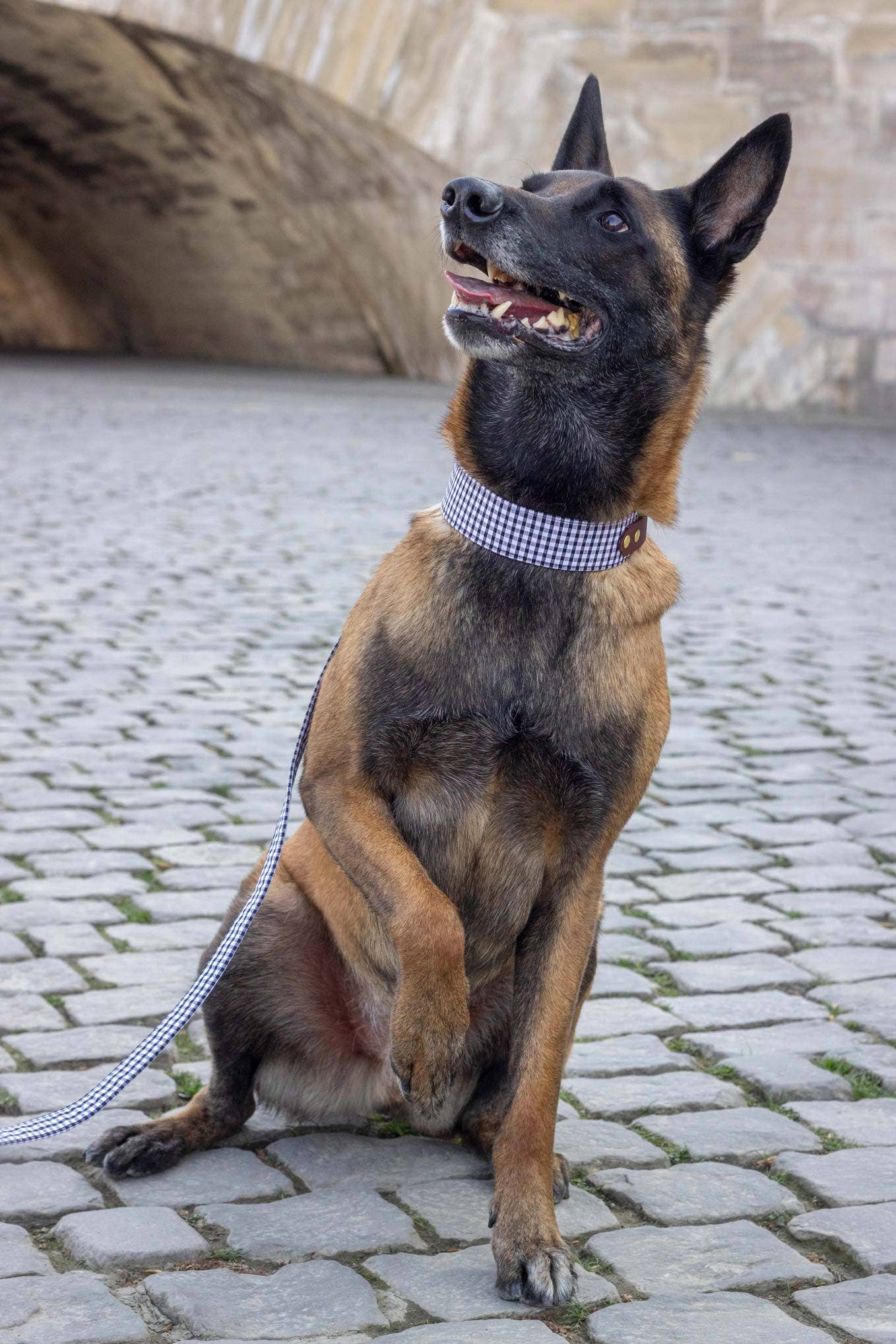 Madrague-ketting