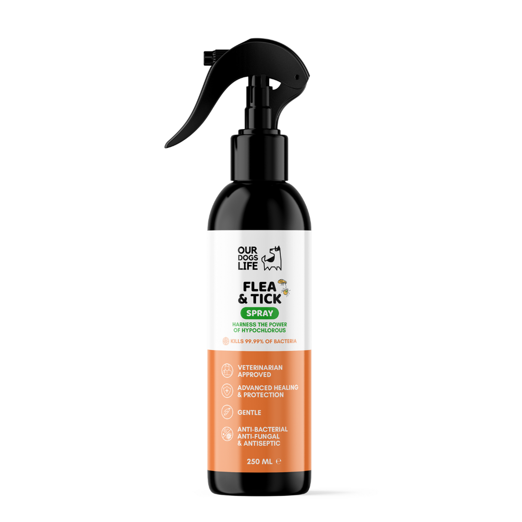 Vlooien- en Teken Spray voor honden