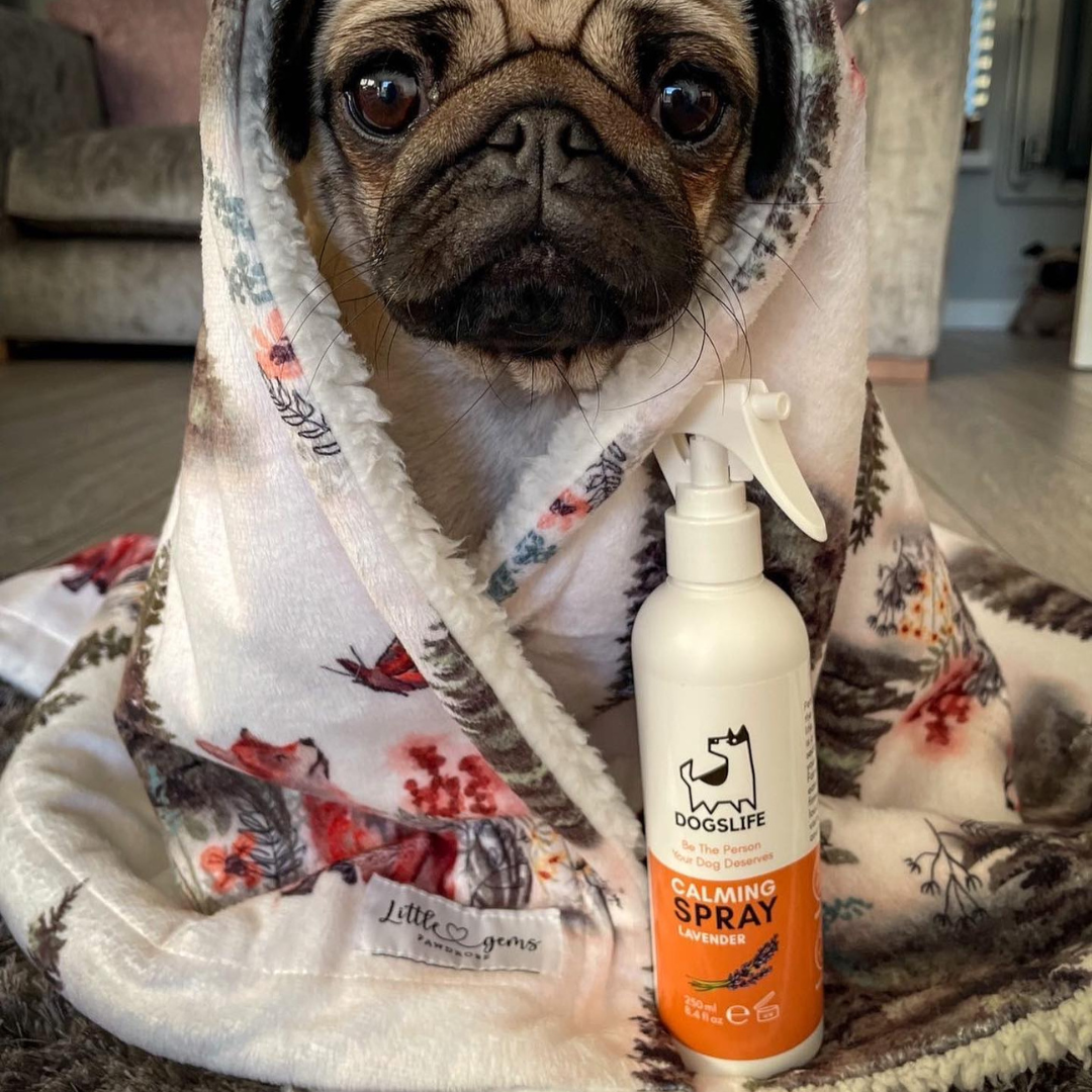 Kalmerende spray voor honden