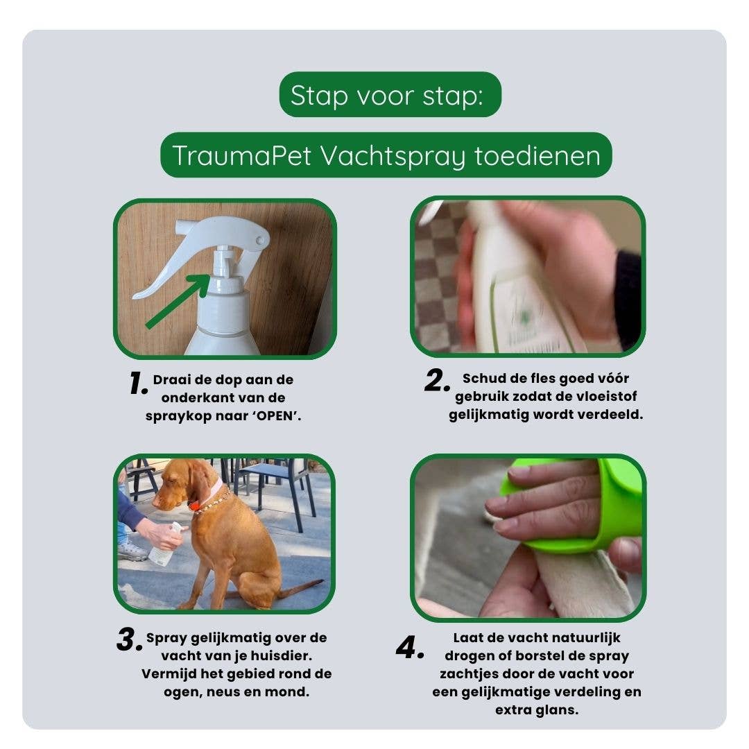Vachtverzorging Set