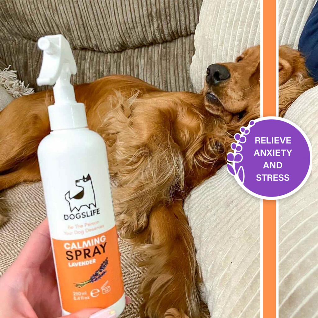 Kalmerende spray voor honden