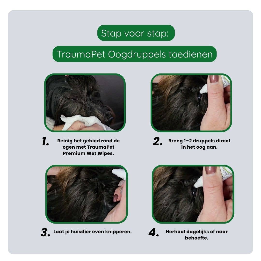 Oogdruppels