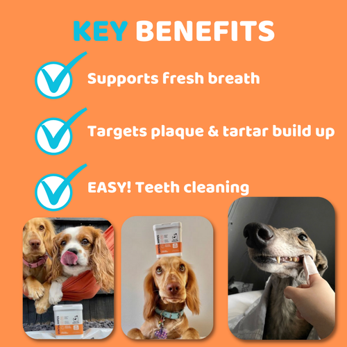 Cleaning Dog Teeth Wipes