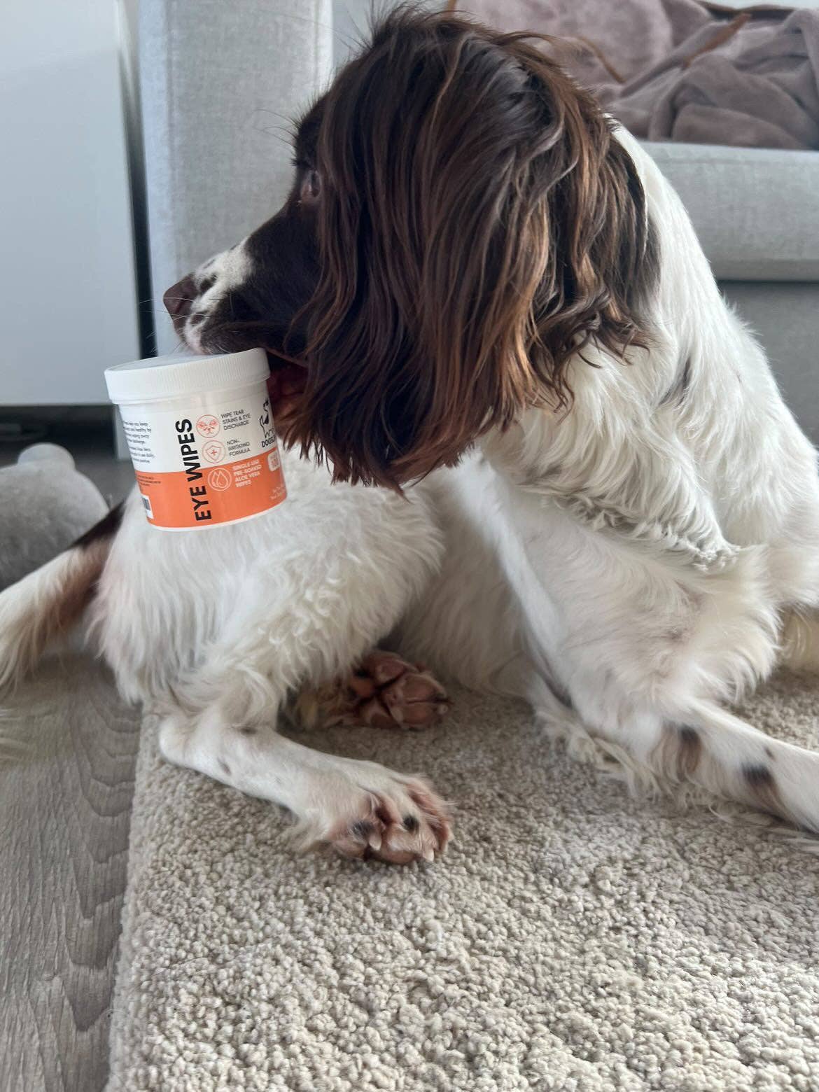 Oogdoekjes voor honden