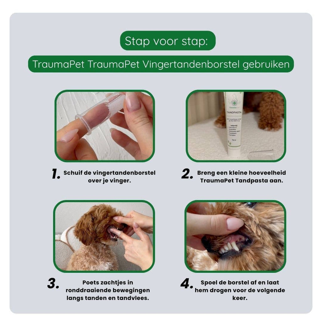 Gebitsverzorging set