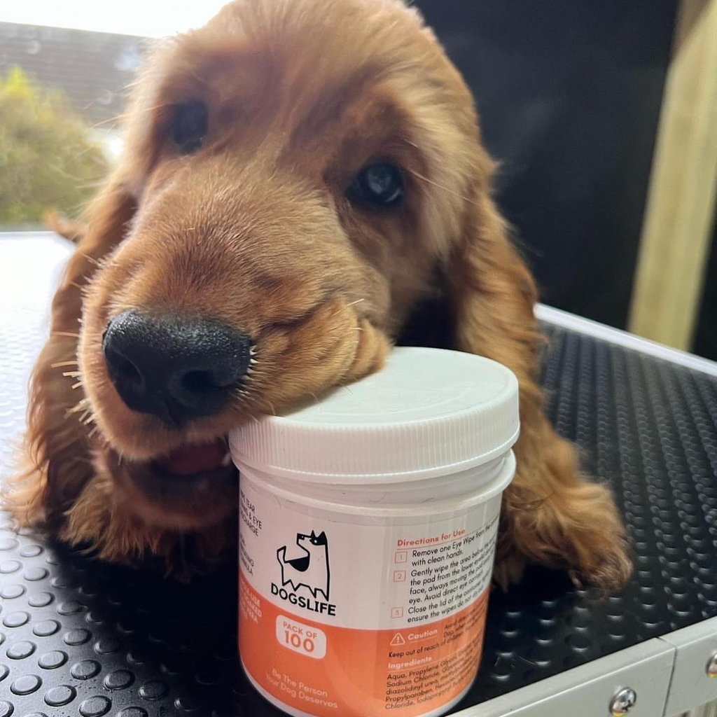 Oogdoekjes voor honden
