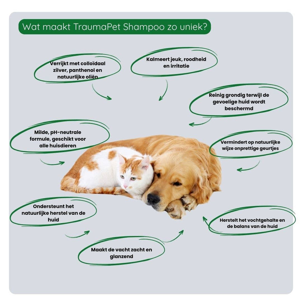 Shampoo