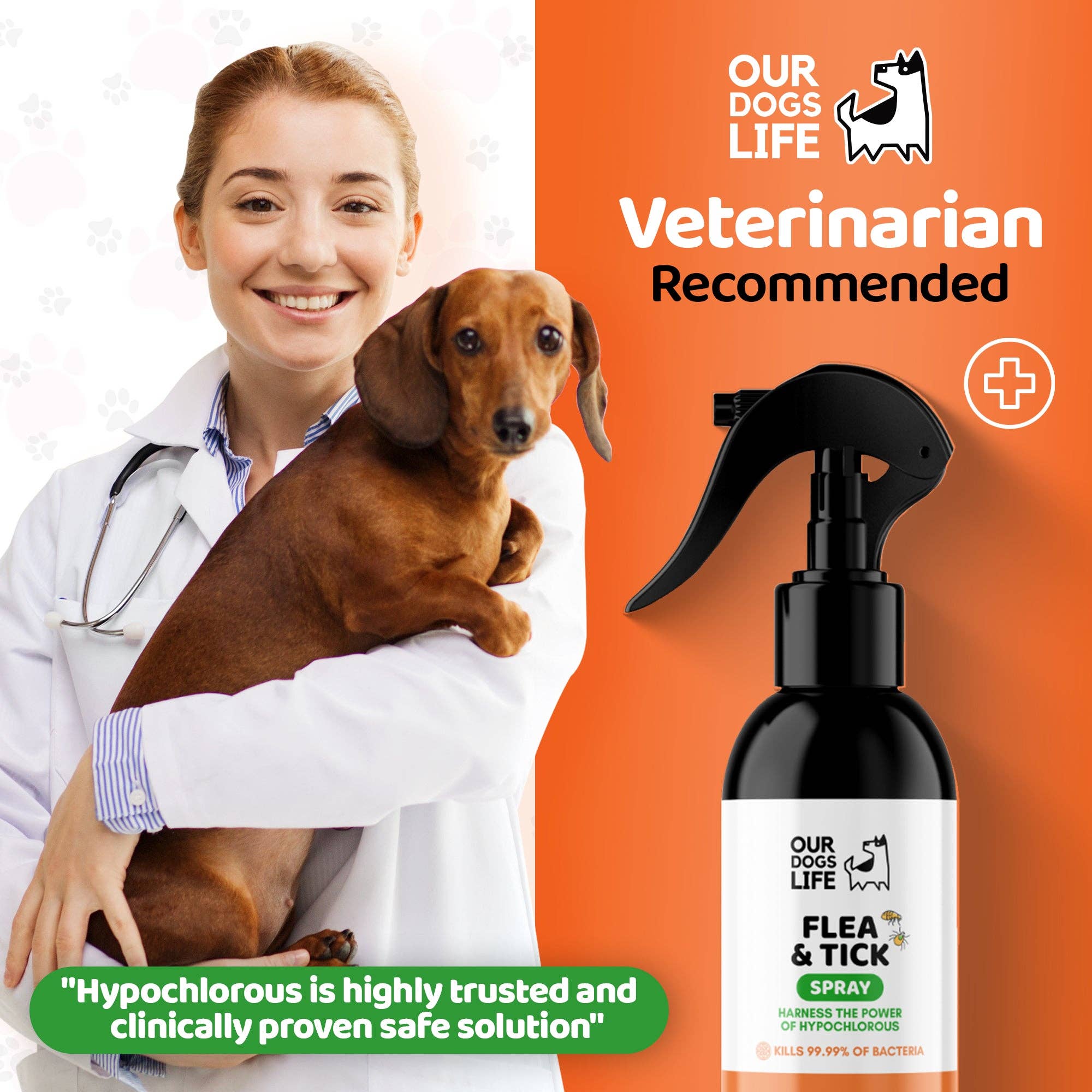 Vlooien- en Teken Spray voor honden