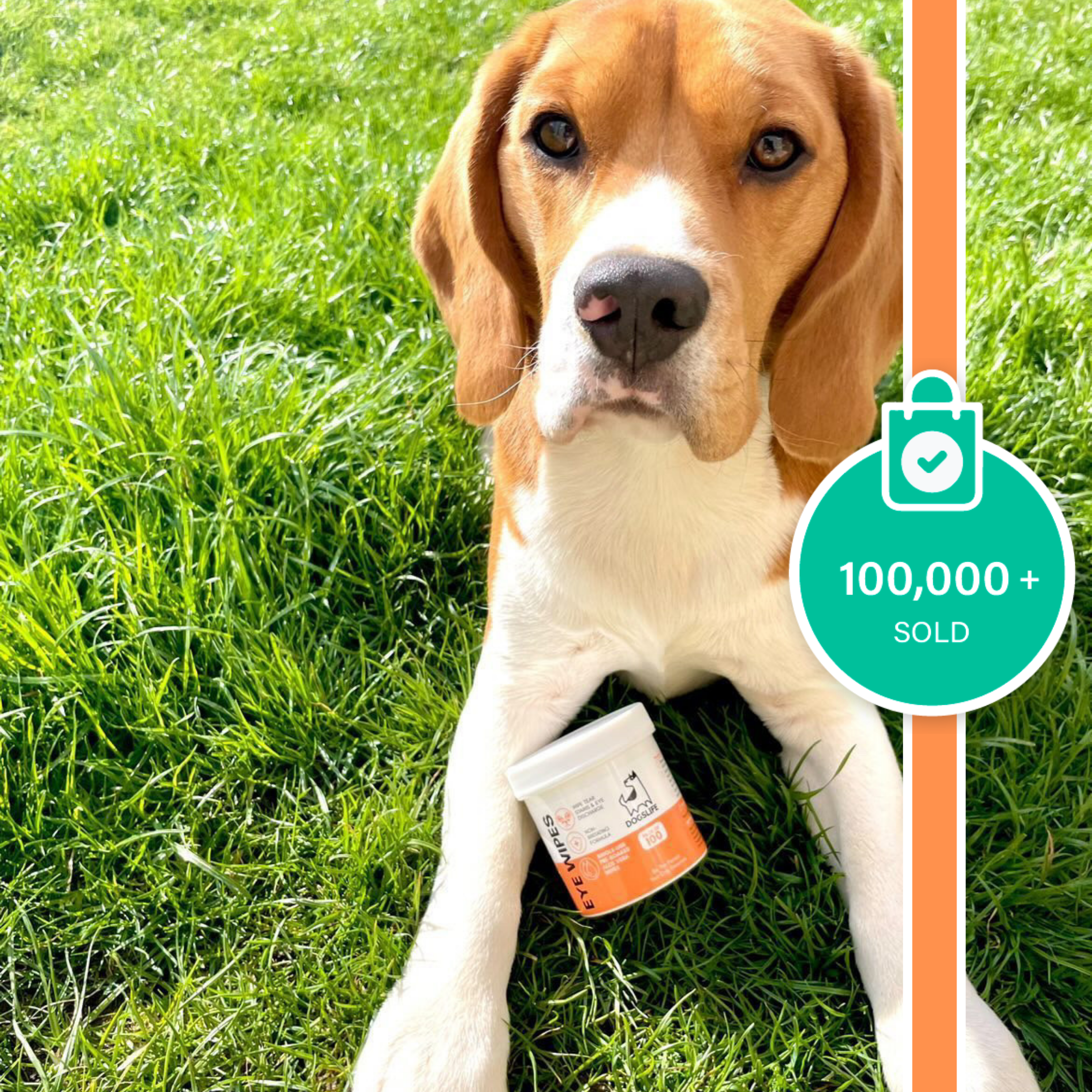 Oogdoekjes voor honden