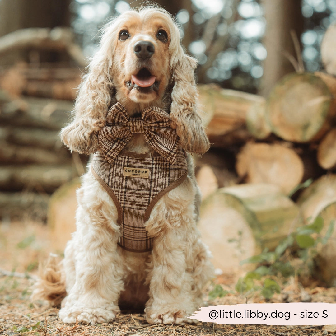 Pup Plaid Verstellbares Step-In-Geschirr | Cocker Spaniel