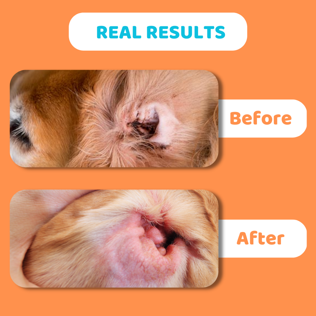 Vachtdoekjes voor hondenoren