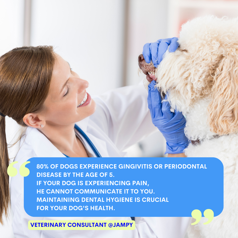 Kiss Me - Natuurlijke tandenspray tegen slechte adem voor honden