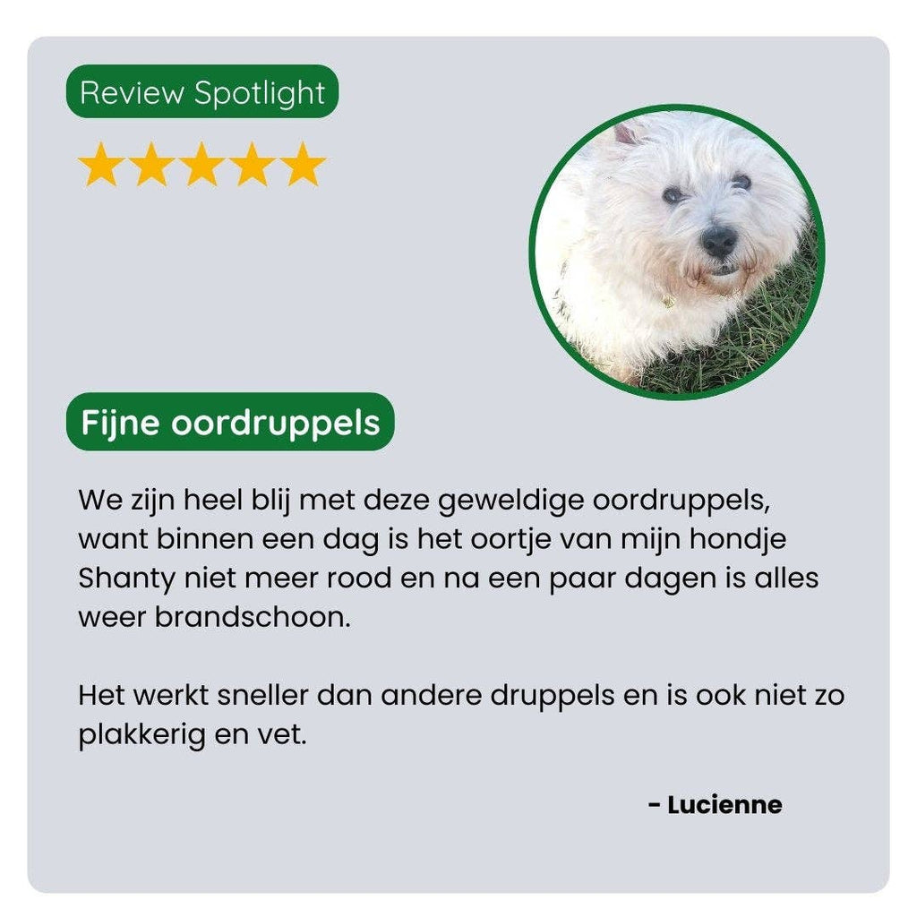 Oordruppels