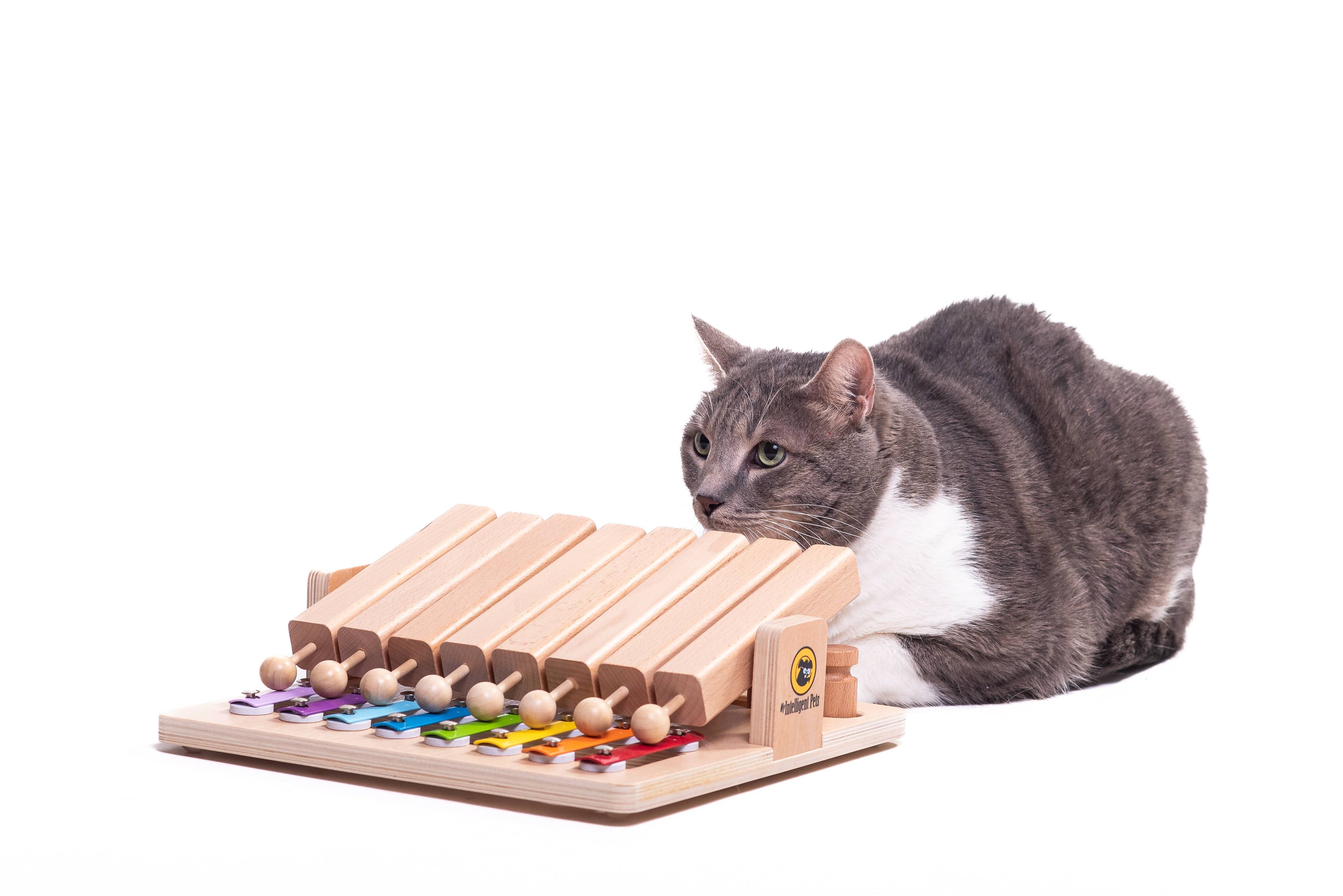 Piano - winnaar Interactief Speelgoed van het Jaar - verrijkingsspeelgoed