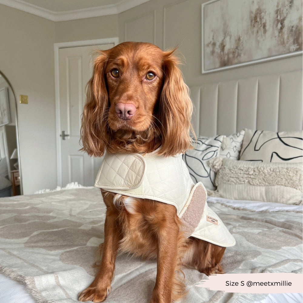 Luxus-Steppmantel für Hunde – Midnight Black | Cocker Spaniel