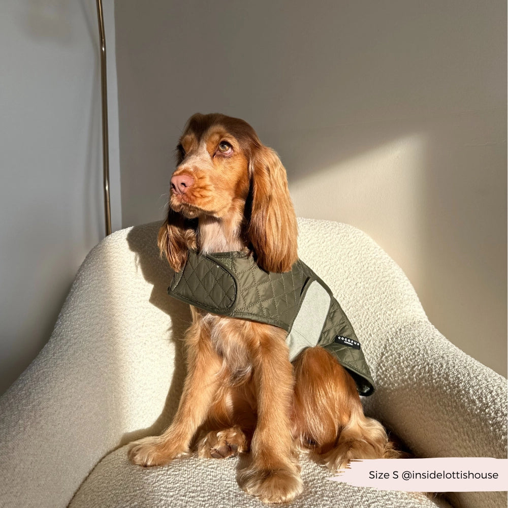 Abrigo Acolchado de Lujo para Perros – Country Khaki | Cocker Spaniel